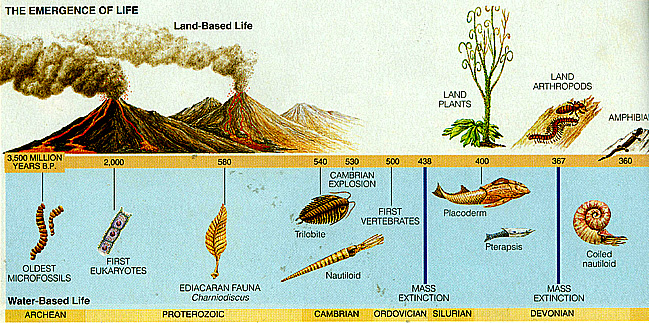 Precambrian life mystery was revealed