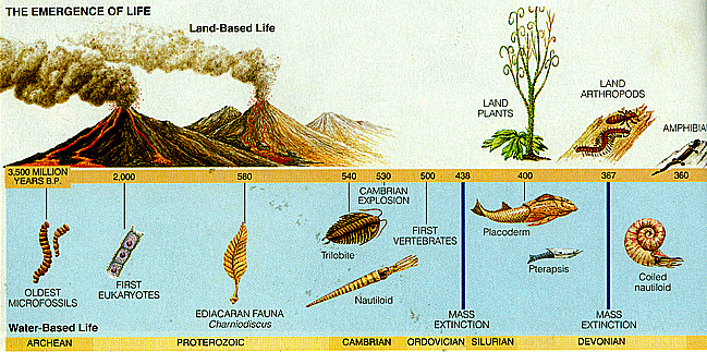 Precambrian Life Precambrian Life
